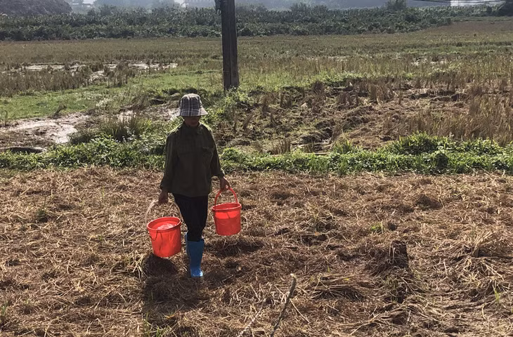 Người dân thôn 6, xã Quảng Phong, huyện Hải Hà vẫn phải xách nước từ giếng về sử dụng nhưng nguồn nước cũng koong đảm bảo.