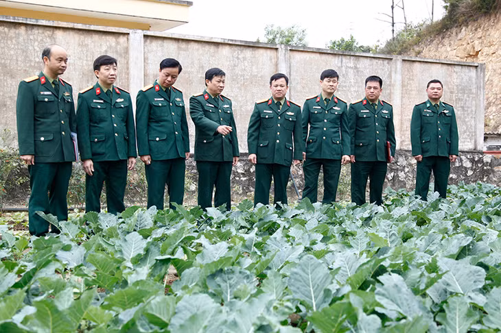 Kiểm tra công tác chuẩn bị khu vực tăng gia chuẩn bị phục vụ huấn luyện chiến sĩ mới tại Trung đoàn 244.