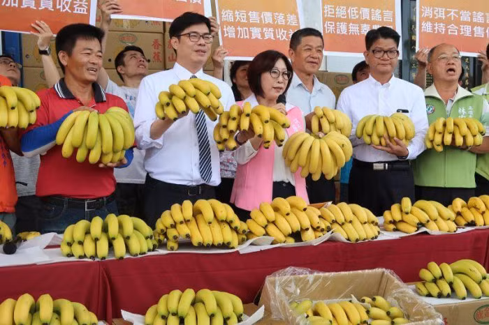 Chuối tiêu do nông dân Đài Loan trồng - ảnh Taiwan Today.