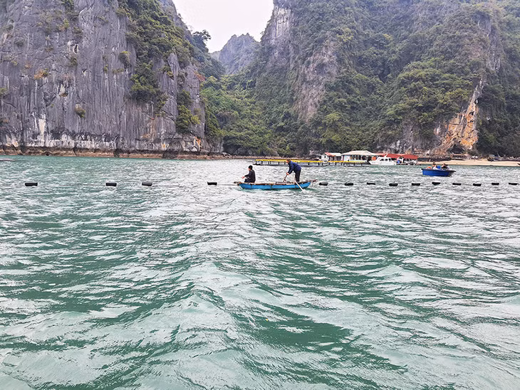 Người dân Vân Đồn thí điểm sử dụng quả phao HDPE của Công ty CP nhựa SUPER Trường Phát.