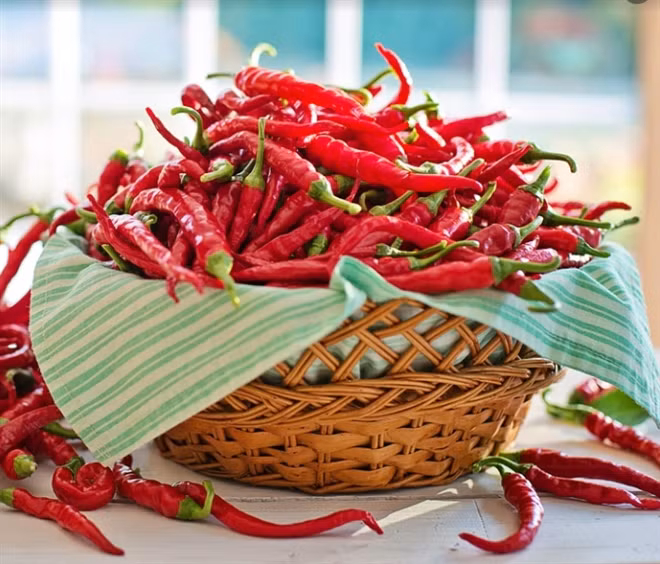 Quả ớt có khả năng chống ung thư hiệu quả.