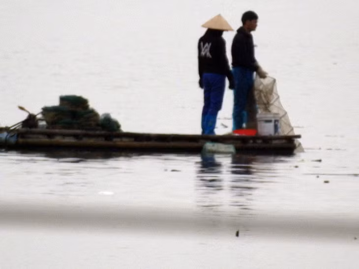 Tại khu vực bãi triều giáp ranh phường Hải Hòa và phường Trà Cổ có rất nhiều bè, mảng khai thác thủy sản bằng lồng bát quái.