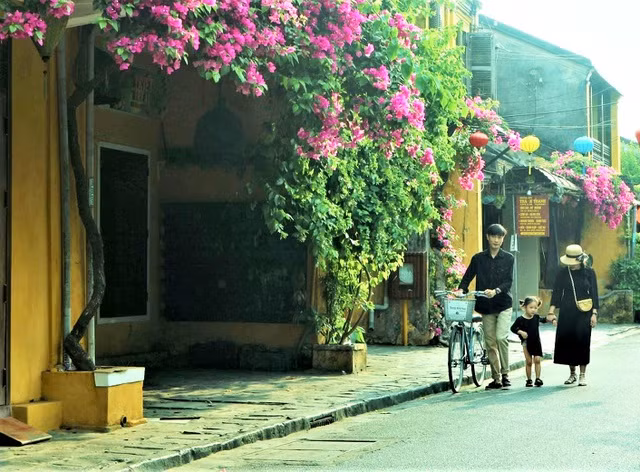 Những giàn hoa giấy phủ kín phố cổ rêu phong gây xao xuyến bao du khách.