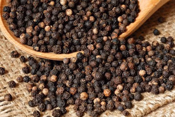 Giá tiêu sáng 25.3 tăng trở lại