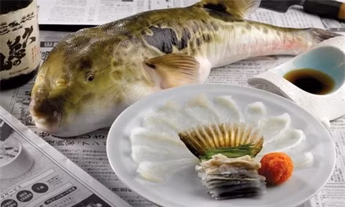 Món Fugu làm từ cá nóc. Ảnh: Takoyaki.