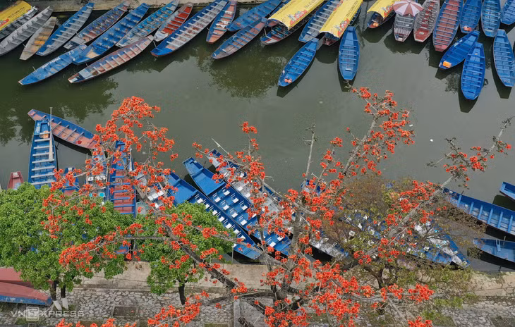 Cây hoa gạo rực đỏ bên suối Yến. Những ngày đầu tháng 2 âm lịch, dọc suối luôn tấp nập thuyền đò của du khách ra vào thắng cảnh Chùa Hương. Đây cũng là thời điểm đẹp nhất trong năm để du xuân, vãn cảnh chùa.