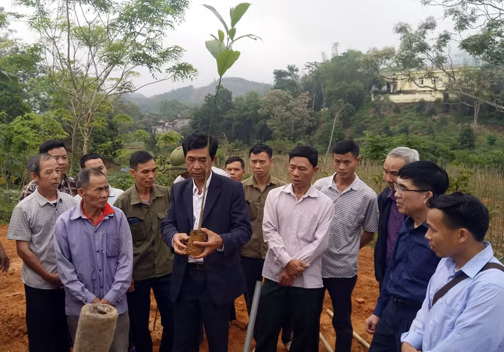 Hội Nông dân tỉnh tổ chức tập huấn cho bà con nhân dân xã Đồn Đạc thực hiện mô hình trồng cây Dổi.
