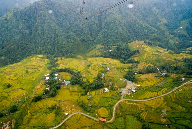 Sang tháng 9, lúa sẽ ngả sang sắc vàng óng ả. Ấy là khi ta phải về Tây Bắc, tới Fansipan thêm lần nữa để được ôm trọn tấm thảm vàng nối những triền đồi vào tầm mắt.