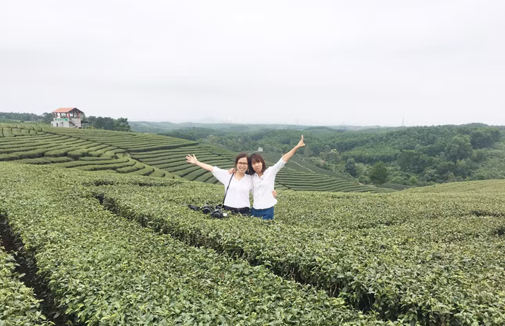 Đồi chè xã Quảng Long đẹp như một bức tranh