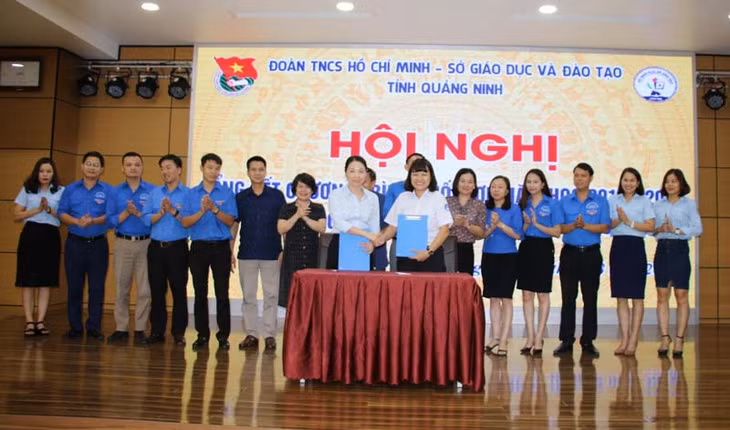 Tỉnh Đoàn