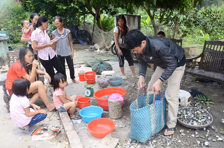 Người dân thôn Xích Thổ, xã Thống Nhất, huyện Hoành Bồ sống chủ yếu dựa vào nghề đi biển. Trong ảnh: tiểu thương thu mua hải sản người dân Xích Thổ đánh bắt được.