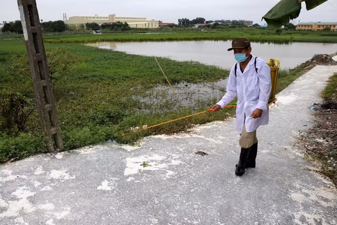 Cán bộ thú y phun khử trùng khu vực có đàn gia cầm bị nhiễm cúm A/H5N6 tại xã An Hồng, An Dương, Hải Phòng. (Ảnh: Minh Thu/TTXVN)