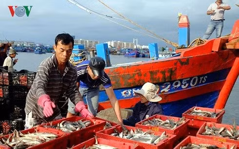 Truy xuất nguồn gốc hải sản một cách đầy đủ, minh bạch, góp phần xóa thẻ vàng lấy lại thẻ xanh cho ngành thủy sản Việt Nam.