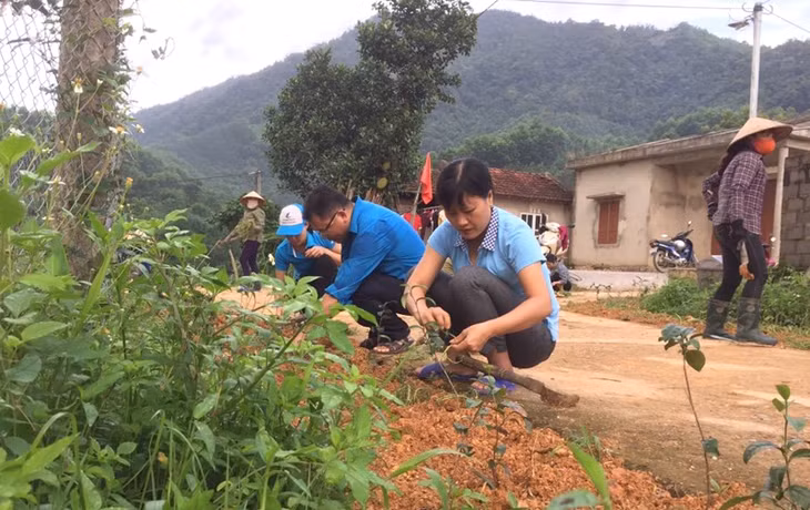 Người dân xã Nam Hả, huyện Ba Chẽ tích cực tham gia trồng hoa ven đường trong phong trào xây dựng NTM.