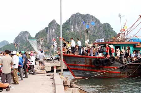 Ảnh minh họa. (Nguồn Internet)