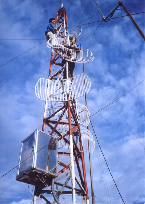 Ảnh minh họa. (Nguồn Internet)