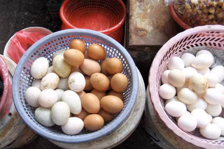 Trứng gà hoàn toàn có thể nhiễm kháng sinh nếu gà đẻ nhiễm kháng sinh.