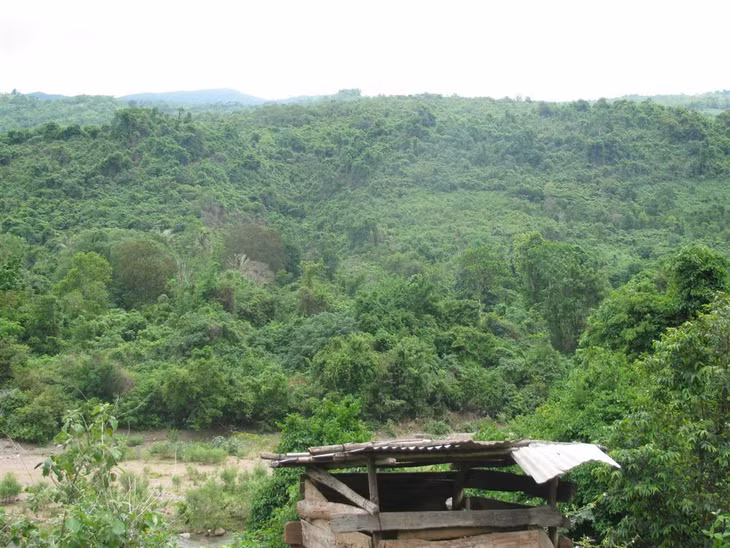 Ảnh minh họa. (Nguồn Internet)