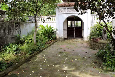 Và trước cổng Tam Quan ngày thường luôn đóng kín, hoa đại rụng trắng lối đi.