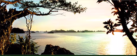 Rực rỡ ánh bình minh. Rực rỡ ánh bình minh.