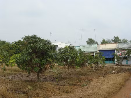Ảnh minh họa. (Nguồn Internet)