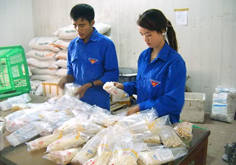 Đóng gói, phân loại nấm kim châm ở Công ty TNHH Long Hải.