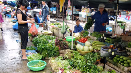 Các tiểu thương chợ Hạ Long I tiếp nhận toàn bộ số lượng rau được vận chuyển từ Minh Thành ra. Giá bán đến tay người tiêu dùng đã tăng lên đáng kể, rau dền là 5.000-6.000 đồng/mớ, ngọn bí 8.000-10.000 đồng/mớ.