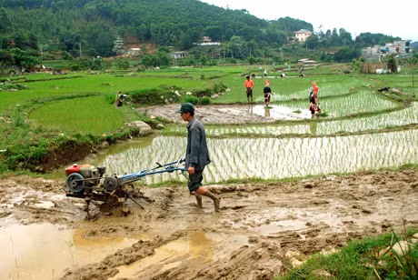 Hơn 100 hộ dân ở Đồng Văn đã mua được máy cày để cơ giới hoá trong khâu làm đất.