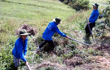 Hội sinh viên Trường ĐH Công nghiệp Quảng Ninh giúp nhân dân xã Đồng Tiến (huyện Cô Tô) dọn VSMT.