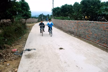 Hầu hết việc thi công các con đường bê tông ở xã đều do các đội xây dựng của Tràng Lương đảm nhiệm.