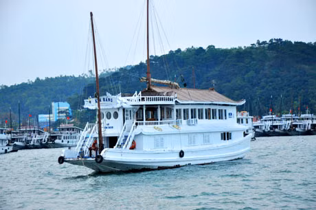 Đa số tàu du lịch hoạt động trên vịnh Hạ Long đã được sơn trắng 
