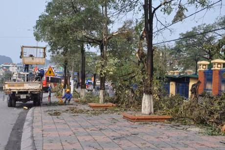 Mưa đá kèm gió to khiến nhiều cây xanh bị đổ gãy.