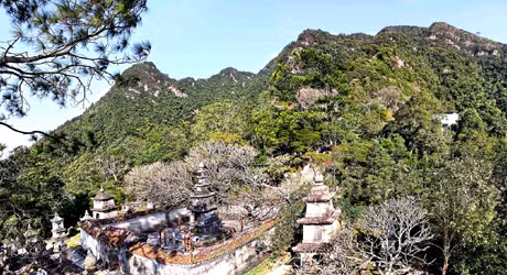 Tháp tổ trong khu rừng già.