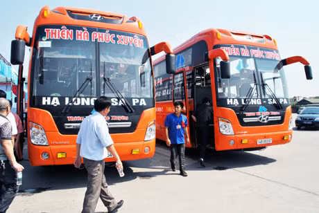 Trước mắt, tuyến xe khách cao cấp Bãi Cháy- SaPa sẽ có 4 đầu xe chạy hai chiều/ngày với thời gian 12 tiếng/chuyến.