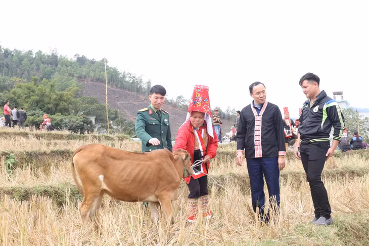Đồng chí Dương Mạnh Cường, Bí thư huyện ủy Bình Liêu trao bò giống cho các hộ nghèo xã Hoành Mô vào tháng 1/2020.