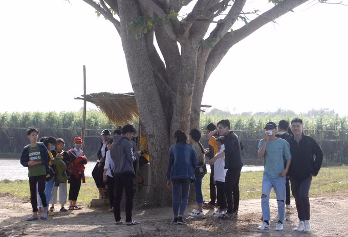 Sau khi ra rạp tháng 12/2019, mỗi ngày có hàng chục lượt khách tìm đến cây vông đồng để chụp ảnh làm kỷ niệm. Trước sức hút của bối cảnh phim Mắt Biếc, Sở Du lịch tỉnh Thừa Thiên Huế và các địa phương được ghi hình trong phim đang xây dựng tour tham quan.