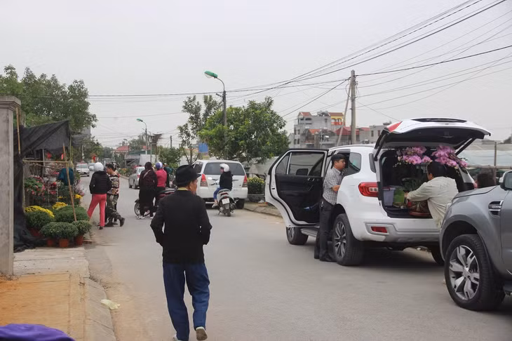 Làng hoa Đồng Chè, xã Lê Lợi, TP Hạ Long