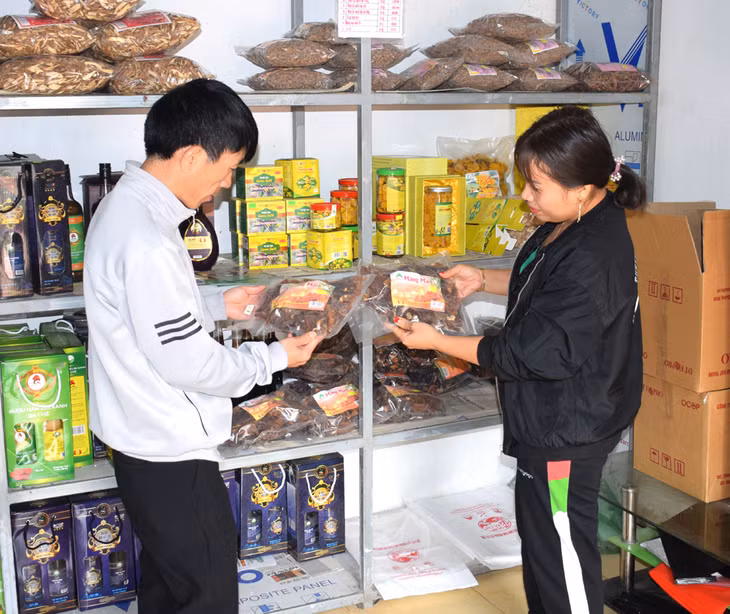 Giới thiệu về sản phẩm măng khô ở HTX Kinh doanh lâm sản ngoài gỗ Ba Chẽ