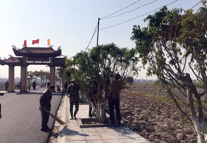gay từ đầu đường vào khu Nội Hoàng Đông, khu Nội Hoàng Tây nhà nhà, người người tập trung quét dọn đường xá, nhổ cỏ, trồng hoa hai ven đường