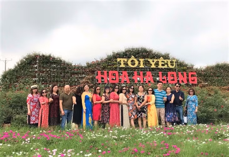 Khu sinh thái Hoa Hạ Long được nhiều du khách đến thưởng ngoạn và chup ảnh. 