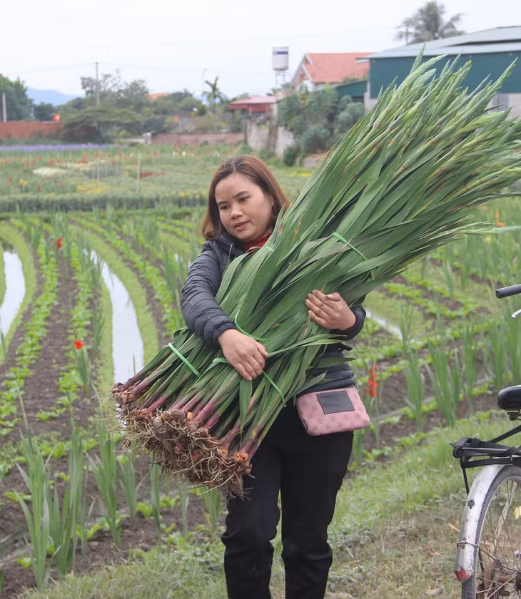 Một thương lái từ tận Hải Phòng