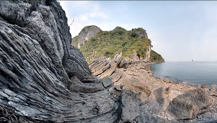 Sóng đá 