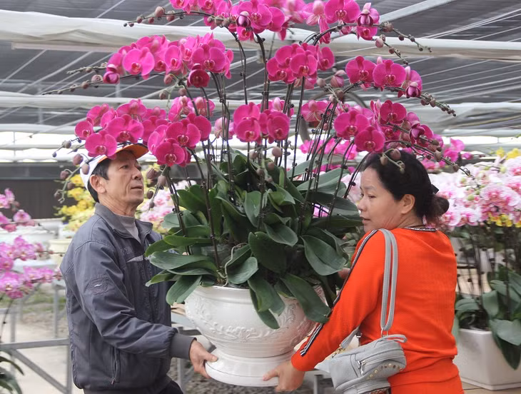 Tất bật giao hoa cho khách