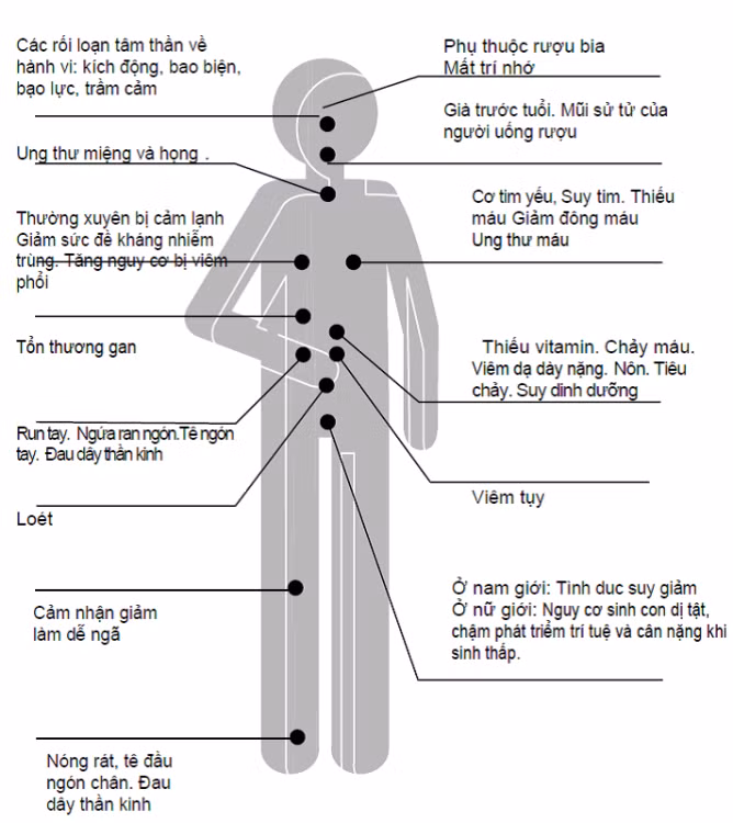Tác hại lên cơ thể do rượu bia gây ra.