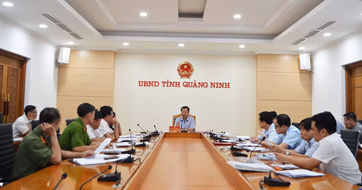 UBND tỉnh họp rà soát