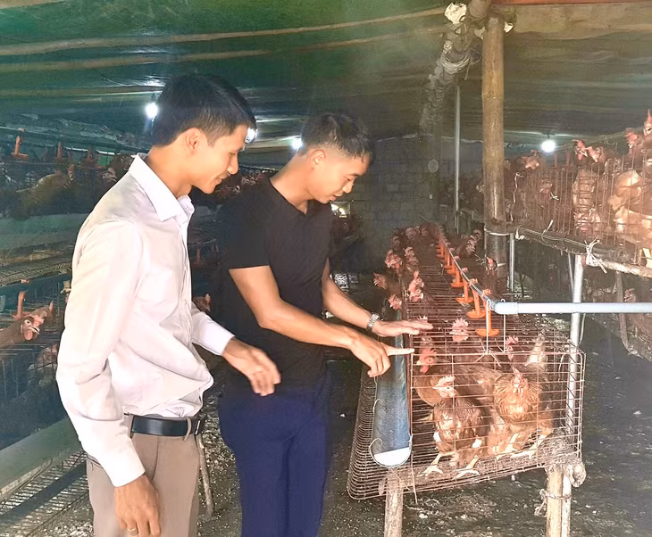 Ban lãnh đạo CLB Đầu tư và Khởi nghiệp Quảng Ninh thăm mô hình nuôi gà siêu trứng của anh La Ngọc Trung, thành viên CLB Khởi nghiệp huyện Bình Liêu,