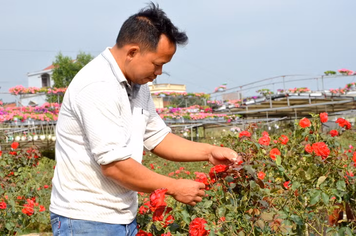 Anh Hải tìm hiểu và học hỏi kinh nghiệm trồng hoa từ nhiều nơi để chăm sóc vườn hoa của mình. 
