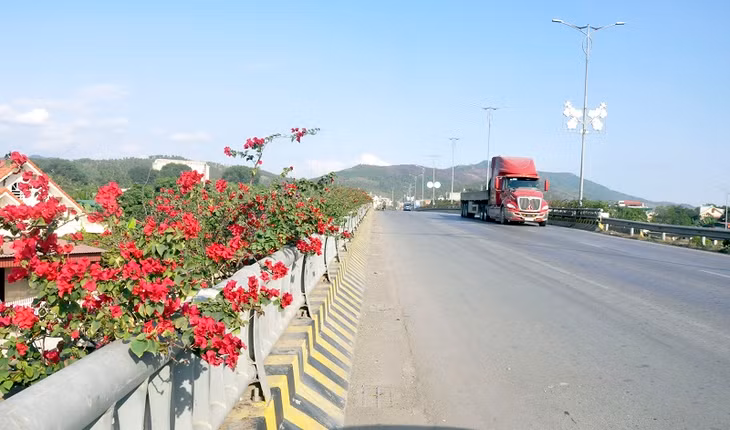 Tại các lan can càu, trên các tuyến giao thông của TP Uông Bí đều được trồng hoa giấy, tạo môi trường sạch, đẹp, văn minh. (Ảnh chụp tháng 1/2020)