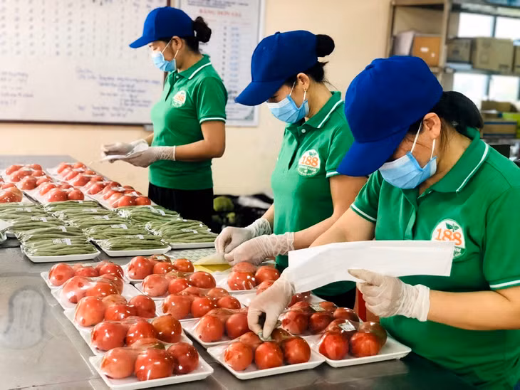 Hiện các sản phẩm