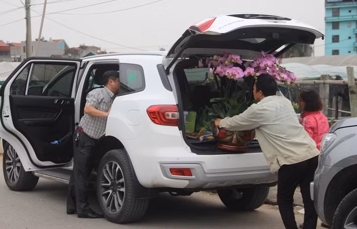 Nhiều khách hàng đã chọn được cho mình chậu hoa ưng ý